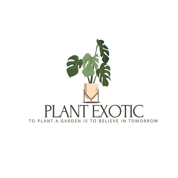 Java_Apple_Plant