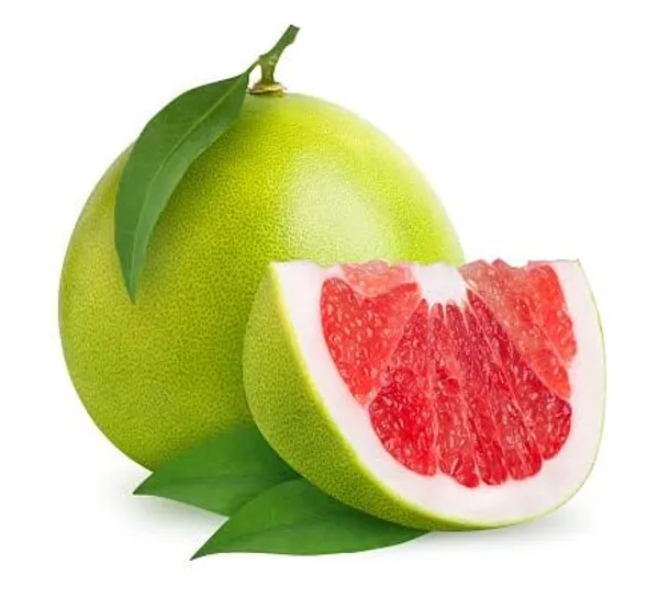 Pomelo_Plant