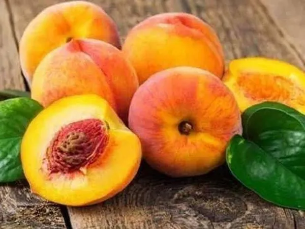 Peach_Plant