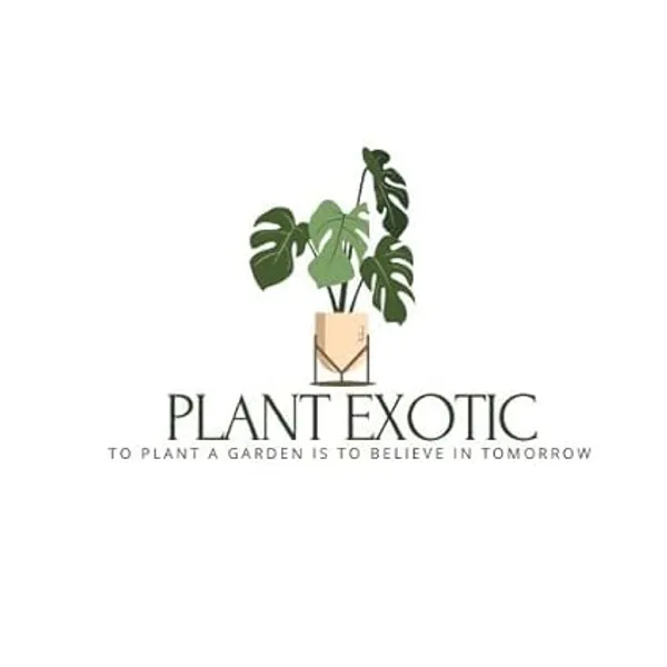 Parijat_Flowering_Plant