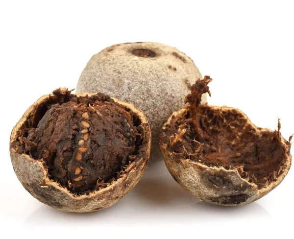 Wood_Apple_Plant