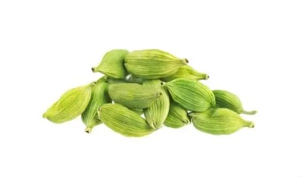 Cardamom_Plant
