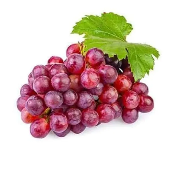 Grape_Plant