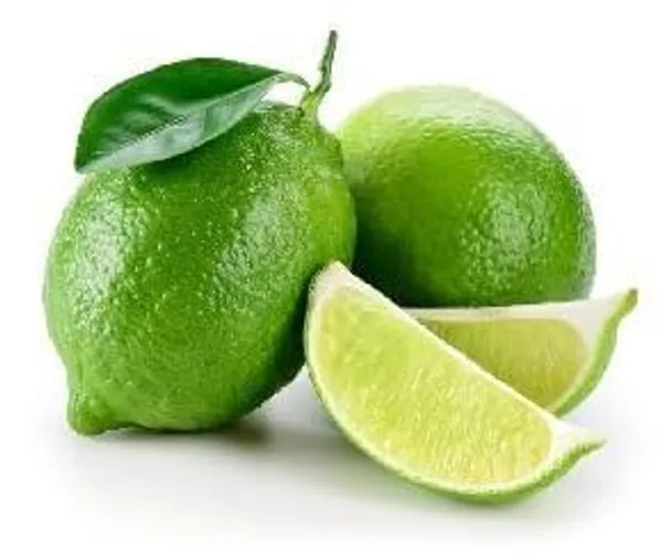 Lemon_Fruit_Plant