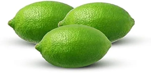 Lemon_Fruit_Plant
