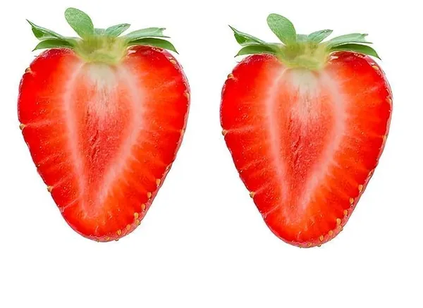 Strawberry_Plant