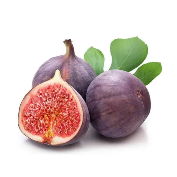 Fig_Fruit_Plant