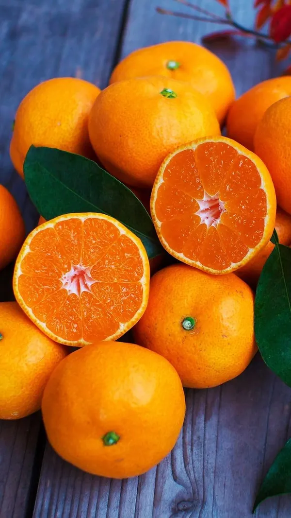 Kinnow_Orange_Grafted_Fruit_Plant