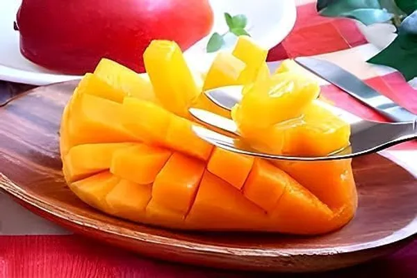 Mango_Fruit_Plant