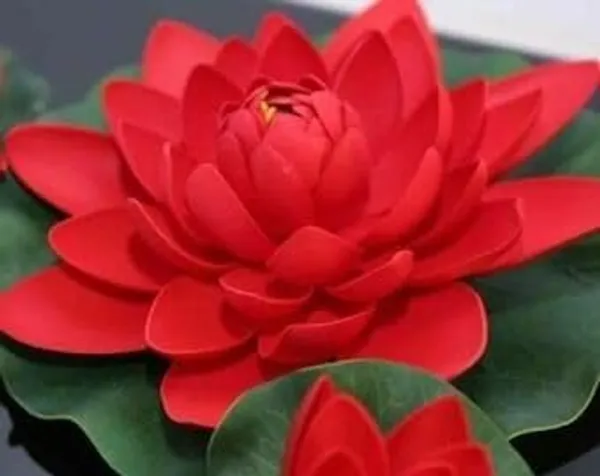 Lotus_Tuber_End_Of_Turn_Token