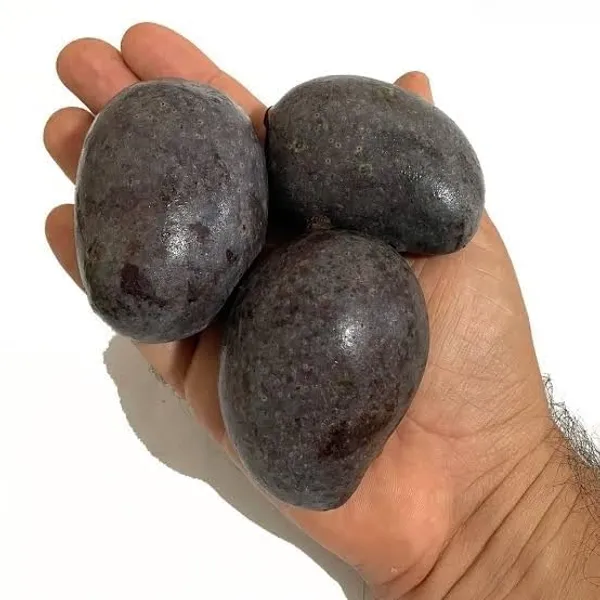 Mango_Grafted_Fruit_Plant