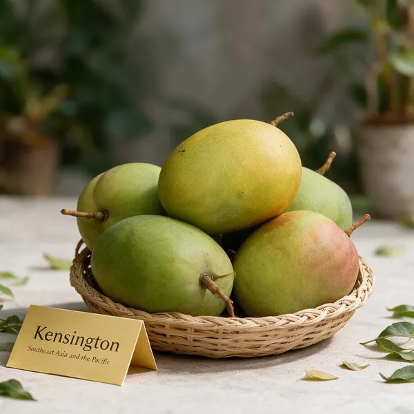 Mango_Plant