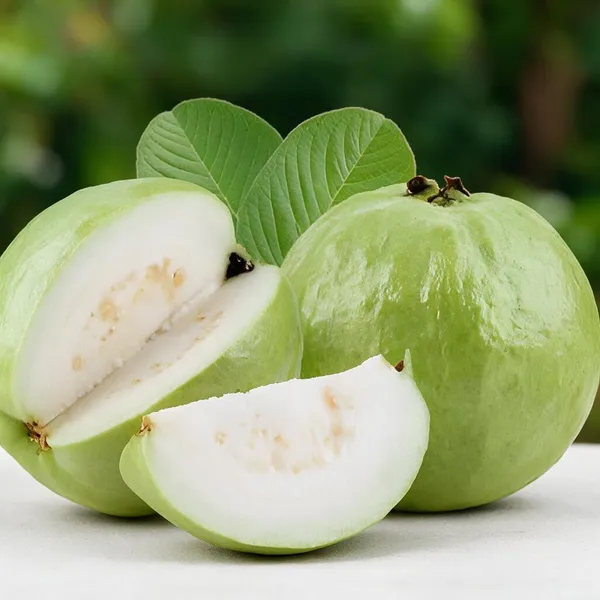 Grafted_Fruit_Tree_Combo