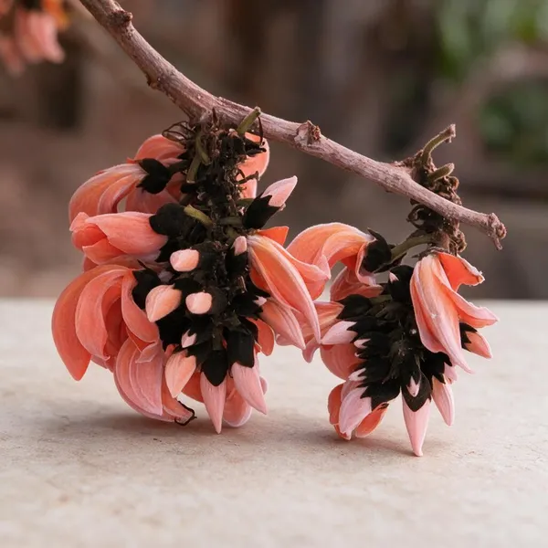Palash_Plant_Cutting