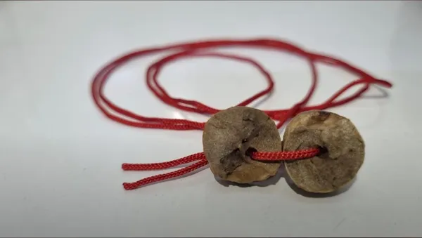 Gishavastu_Medicinal_Shrub_Stem_Brown_Spiritual_Prayer_Mala