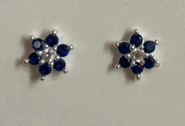 Blue_925_Silver_Stone_Floral_Stud_Earrings_For_Women