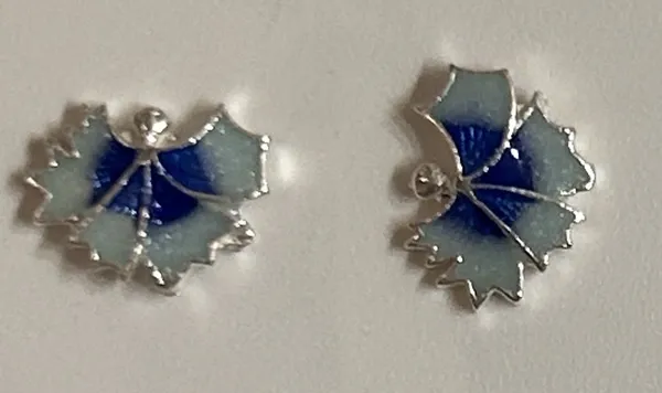 Blue_925_Silver_Floral_Stone_Stud_Earrings_For_Women