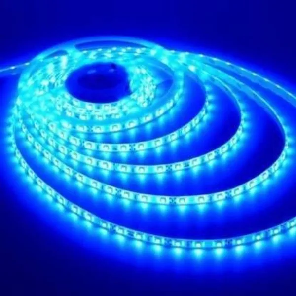 Pixofeet_300_Leds_5_M_Blue_Steady_Box_Rice_Lights_(Pack_Of_1)