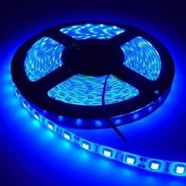 Pixofeet_300_Leds_5_M_Blue_Steady_Box_Rice_Lights_(Pack_Of_1)