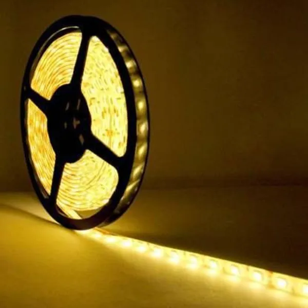 Pixofeet_300_Leds_5_M_Yellow_Steady_Box_Rice_Lights_(Pack_Of_1)