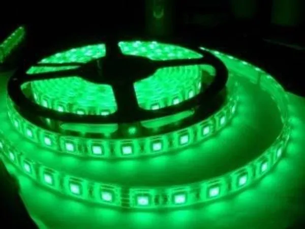 Pixofeet_300_Leds_5_M_Green_Steady_Box_Rice_Lights_(Pack_Of_1)