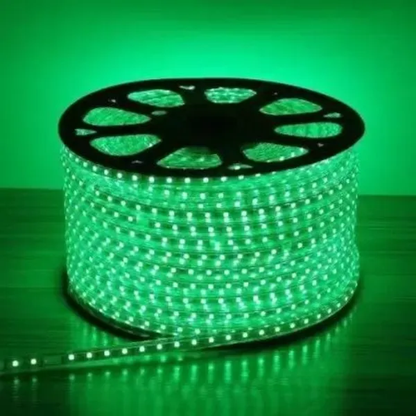 Pixofeet_484_Leds_11_M_Green_Steady_String_Rice_Lights_(Pack_Of_1)