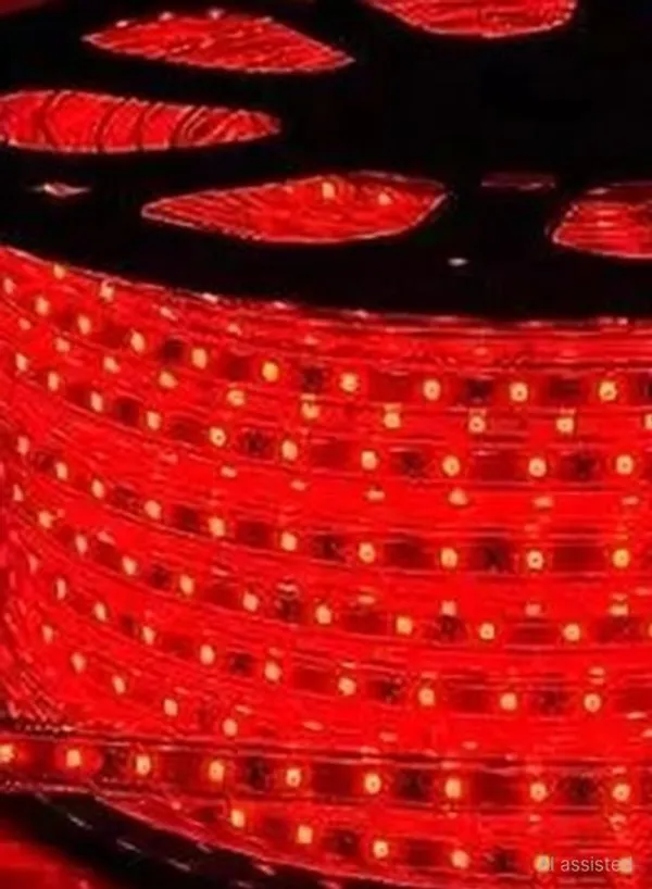 Pixofeet_396_Leds_9_M_Red_Steady_String_Rice_Lights_(Pack_Of_1)