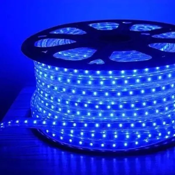 Pixofeet_176_Leds_4_M_Blue_Steady_String_Rice_Lights_(Pack_Of_1)