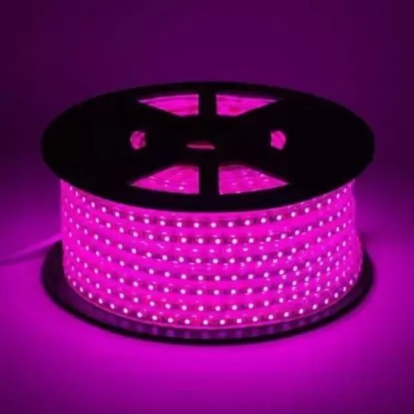 Pixofeet_132_Leds_3_M_Pink_Steady_String_Rice_Lights_(Pack_Of_1)