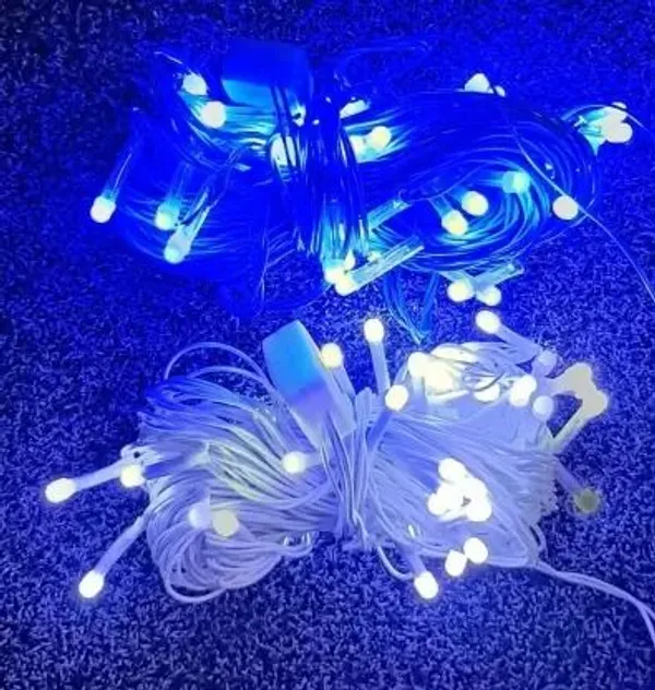 Pixofeet_24_Leds_11_M_Blue,_White_Steady_Bulb_Rice_Lights_(Pack_Of_2)