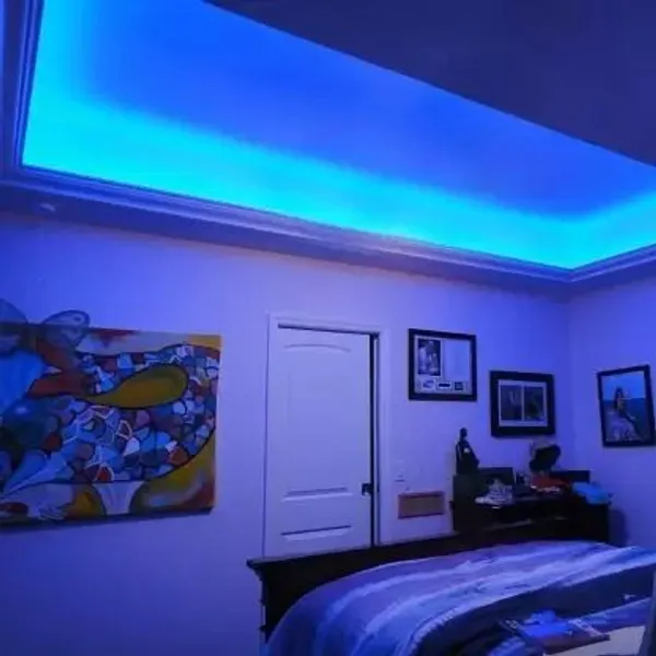 Pixofeet_60_Leds_4.5_M_Blue_Steady_Strip_Rice_Lights_(Pack_Of_2)