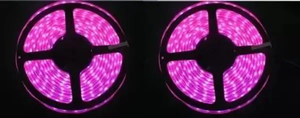 Pixofeet_60_Leds_4.5_M_Pink_Steady_Strip_Rice_Lights_(Pack_Of_2)