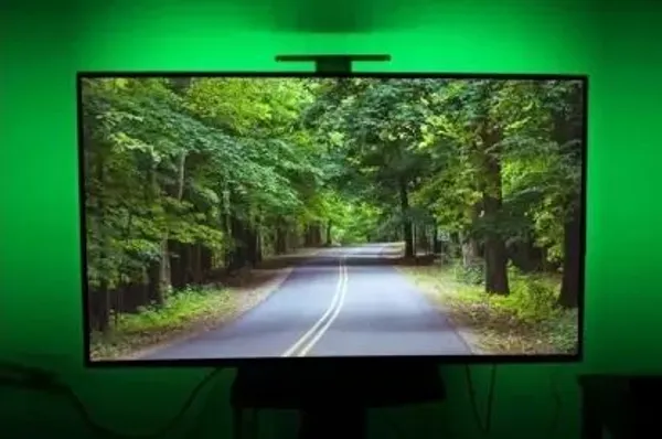 Pixofeet_60_Leds_4.5_M_Green_Steady_Strip_Rice_Lights_(Pack_Of_2)
