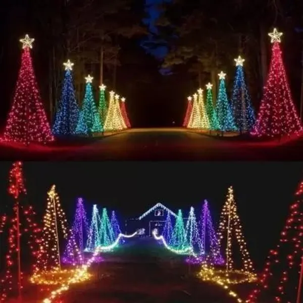 Multicolor_Steady_Bulb_Rice_Lights