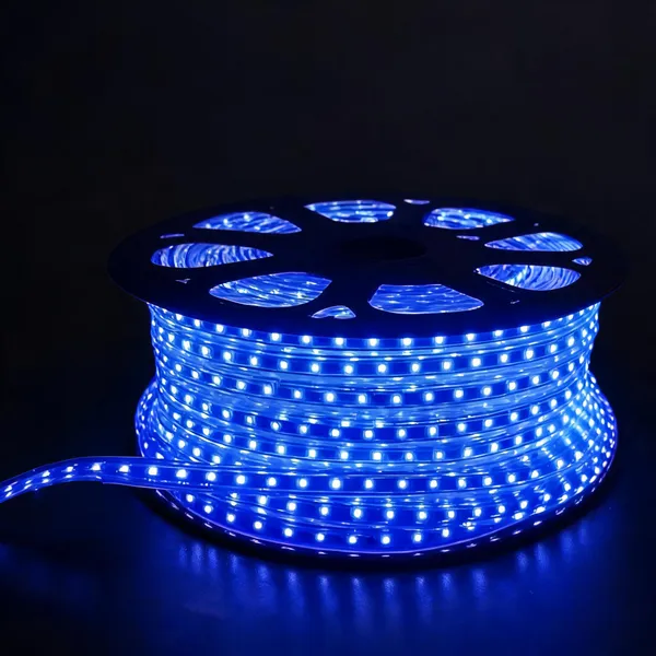 Pixofeet_132_Leds_3_M_Blue_Steady_String_Rice_Lights_(Pack_Of_1)