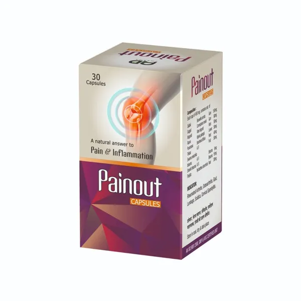 Painout_Shallaki_Guggul_Joint_Pain_Relief_Capsules_Pack_Of_2