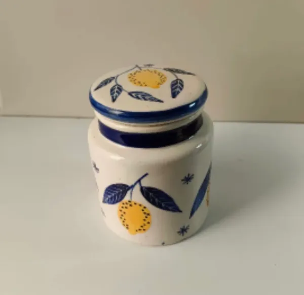 White_Stoneware_Storage_Jar_For_Kitchen