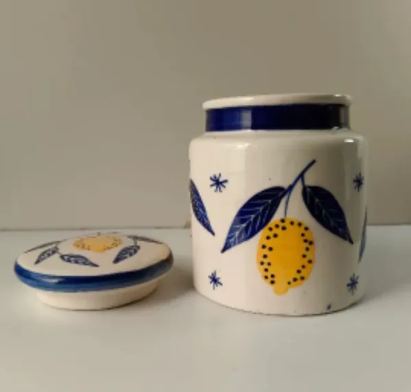 White_Stoneware_Storage_Jar_For_Kitchen