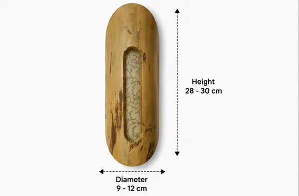Bamboo_Rustic_Wall_Sconce