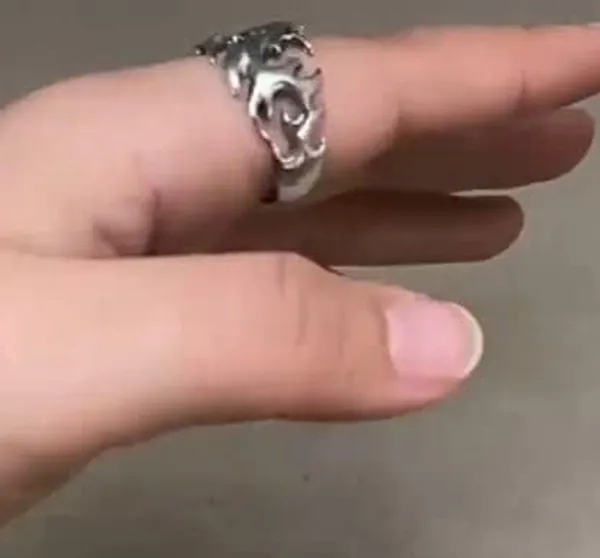 Silver_Stainless_Steel_Dragon_Ring_For_Unisex_-_Pack_of_2