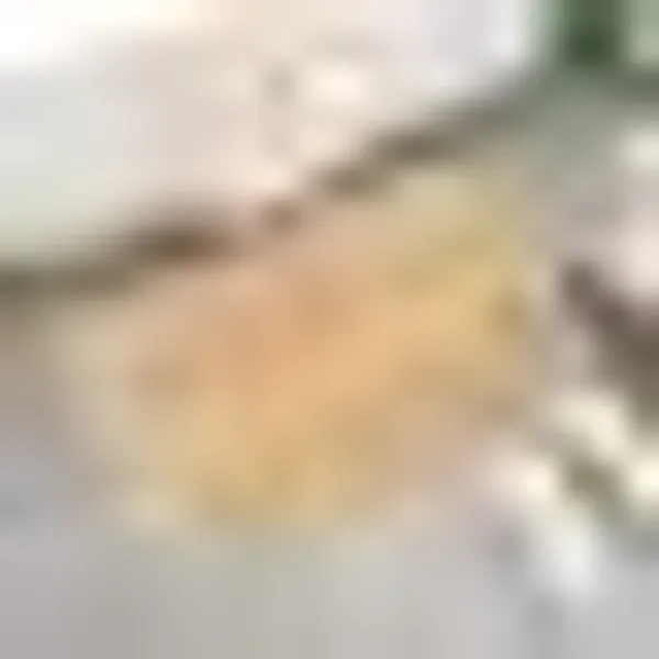Microfiber_Brown_Door_Floor_Mat