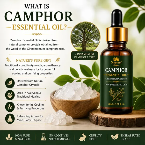 Camphor_Essential_Oil