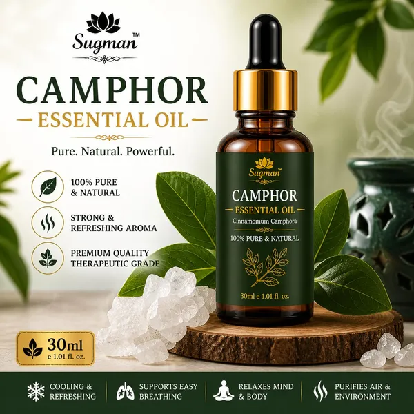 Camphor_Essential_Oil