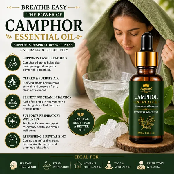 Camphor_Essential_Oil