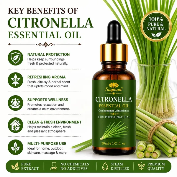 Citronella_Essential_Oil
