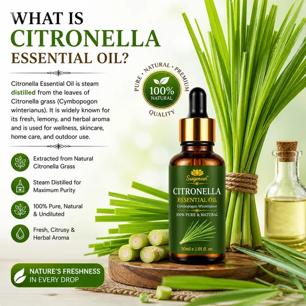 Citronella_Essential_Oil
