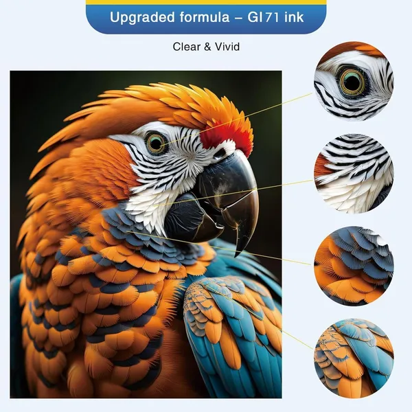 Printer_Refill_Ink