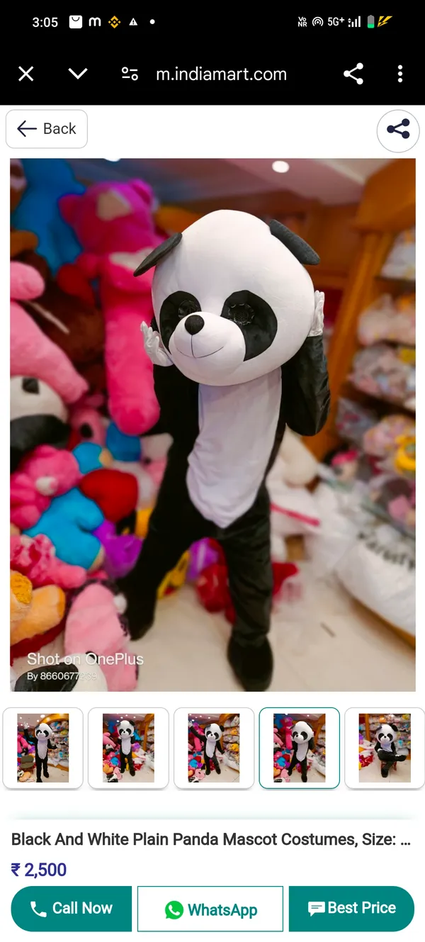 Black_And_White_Rayon_Teddy_Bear_Costume_For_Events_And_Promotions