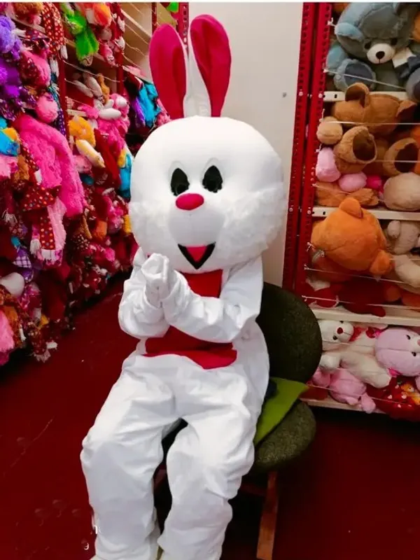 White_Rayon_Rabbit_Costume_For_Events_And_Promotions