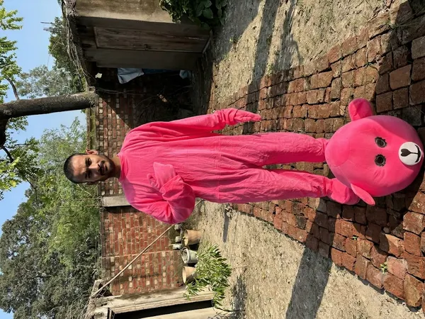 Pink_Rayon_Teddy_Bear_Costume_For_Events_And_Promotions
